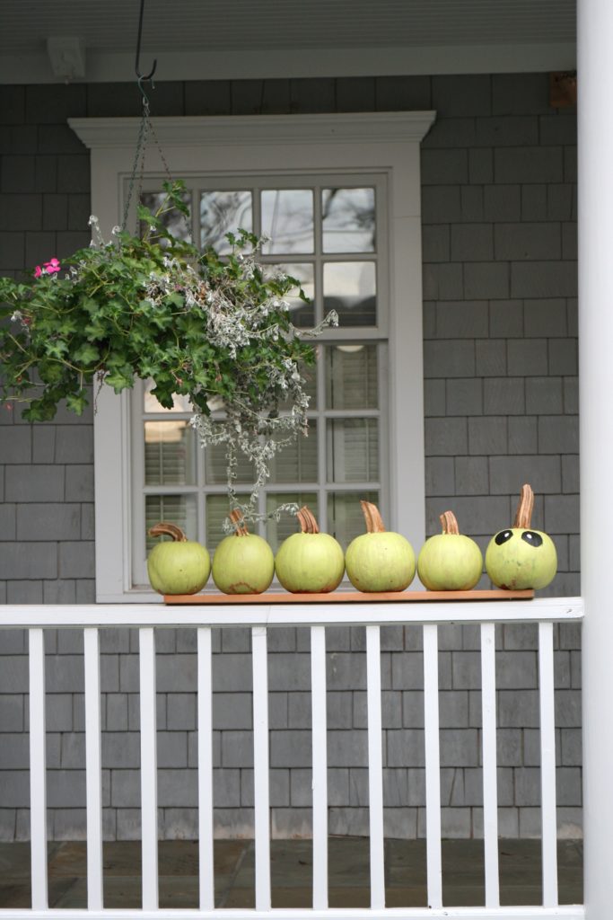 A simple gathering of pumpkins creates an outdoor vignette.