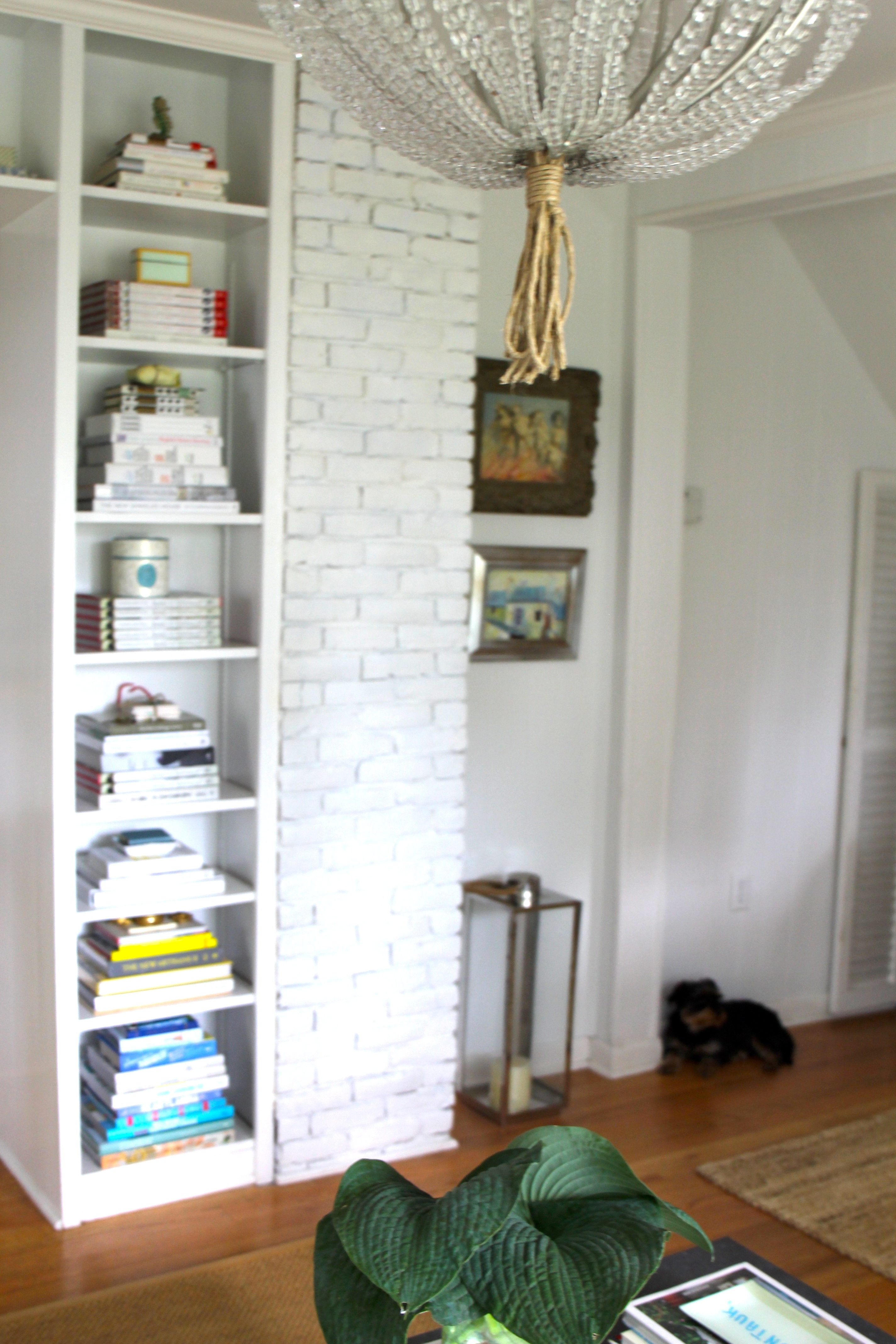 Every home should have book shelves in at least one room.