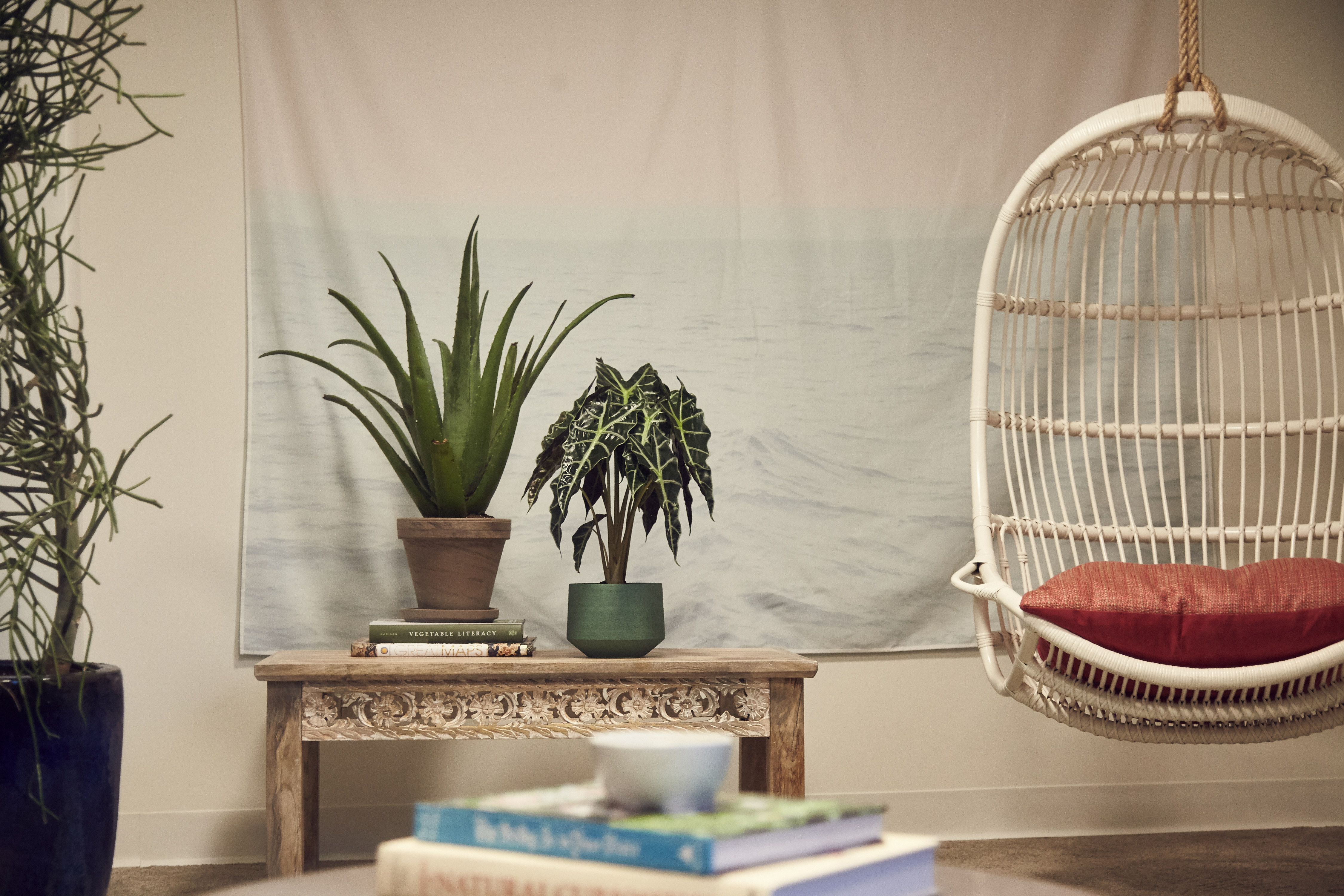 Accessories customary in the home extend to the office. Potted plants cater to the calming atmosphere of the Wellness Room.