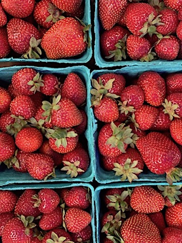 Organic strawberries